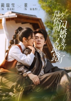 陆少，你的闪婚妻子又跑路了第28集