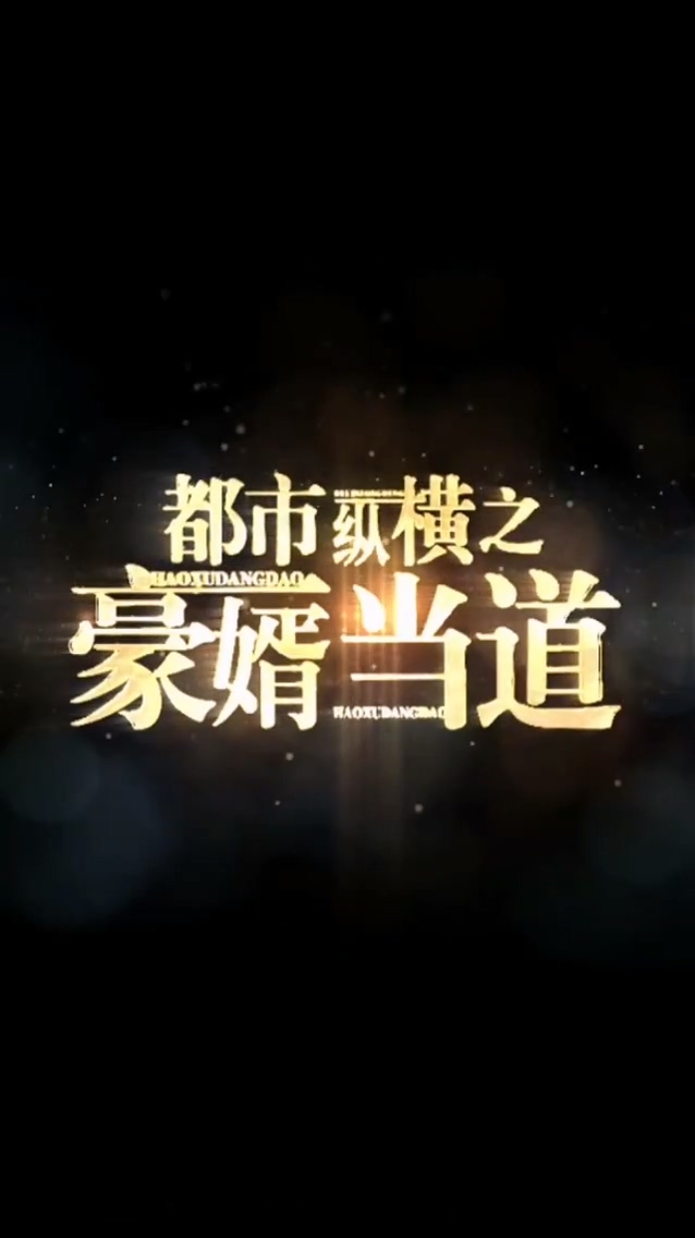 都市纵横之豪婿当道第01集