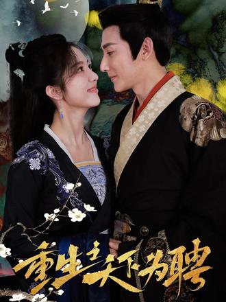 重生之天下为娉41-60集