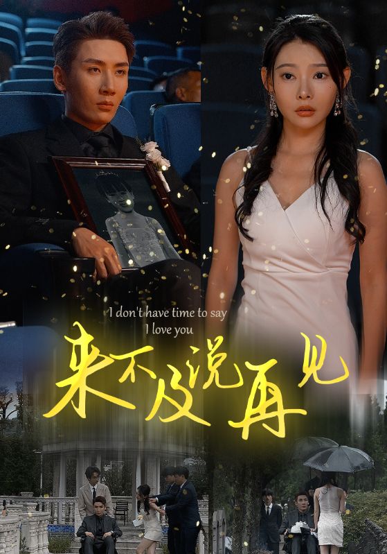 来不及说再见全集(大结局)