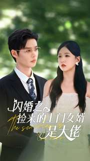 闪婚之捡来的上门女婿是大佬全集(大结局)