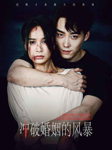 冲破婚姻的风暴全集(大结局)