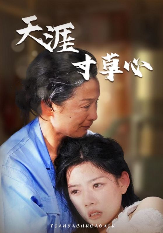 天涯寸草心全集(大结局)