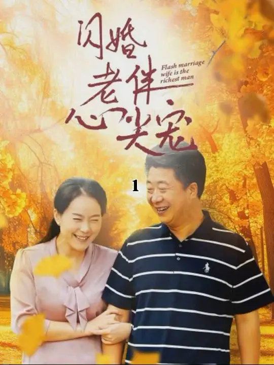 再回首闪婚之仍是心尖宠第05集