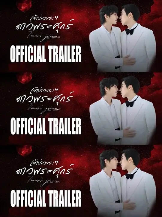 维纳斯的新郎(全集)