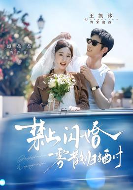 禁止闪婚，雾散归栖时(全集)