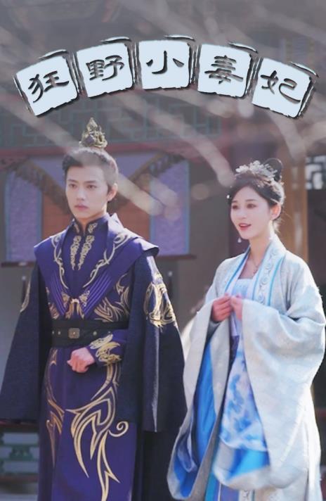 狂野小毒妃第01集